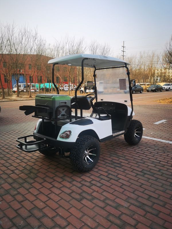 Two-Seater Classic New Energy Lithium Battery Electric Golf Cart With Customizable Color And LOGO