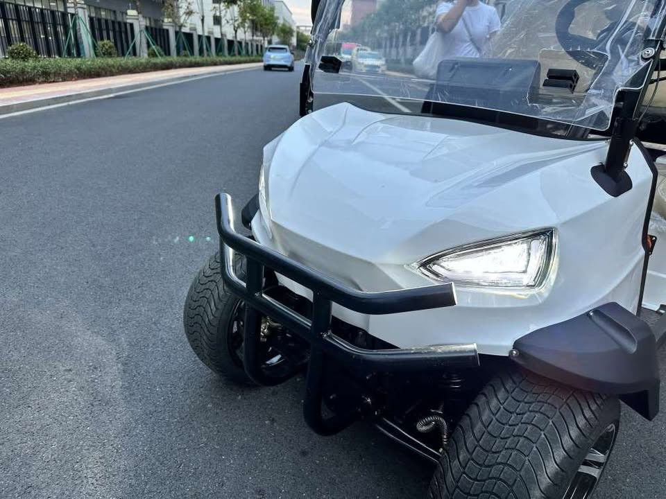 110v-220V Điện vào sạc 4 chỗ ngồi Golf Buggy Xe điện với dây an toàn và bảo vệ lật
