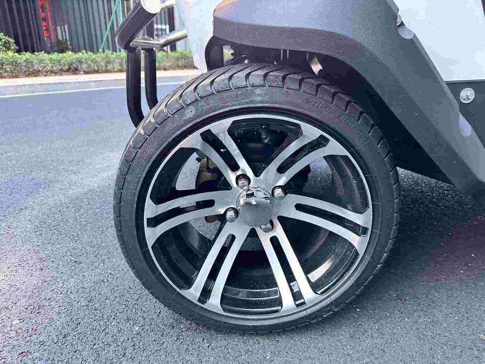 110v-220V Điện vào sạc 4 chỗ ngồi Golf Buggy Xe điện với dây an toàn và bảo vệ lật