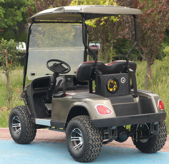 2 Seater Golf Cart Utility Vehicle 30km/h Automatic Lightweight Battery Operated Electric Golf  Buggy