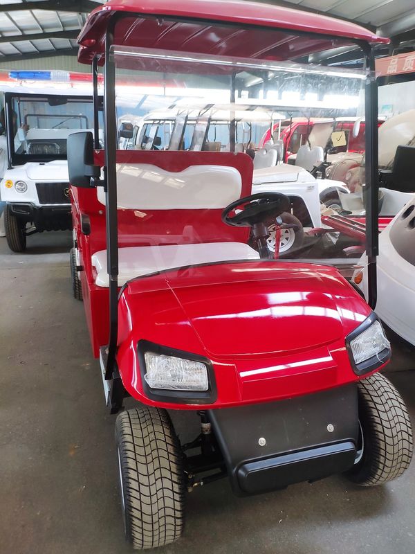 Buggy Cart 2 chỗ ngồi 12 inch Golf Utility Cart Điện với hộp hàng hóa Xe có bánh xe hợp kim