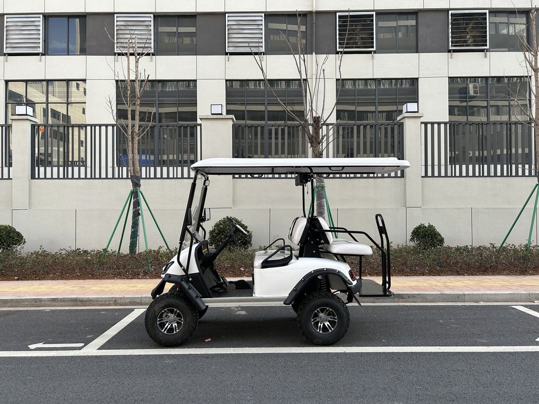 Electric Off Road Golf Buggy Utility Vehicle With Certification And No Less Than 80km Traveling Range 12 Inch Wheel