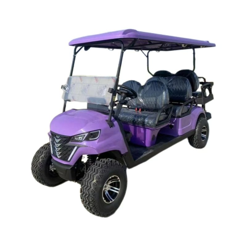 4 6 Seater Electric Street Legal 8 Bus Offroad Man Golf Carts Buggy Car