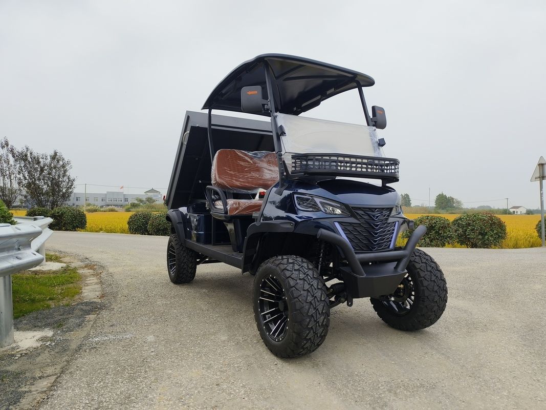 Trendy Advanced Premium Off-Road Electric Lithium 2 Seater Golf Cart with Cargo Box Utility Electric Golf Truck