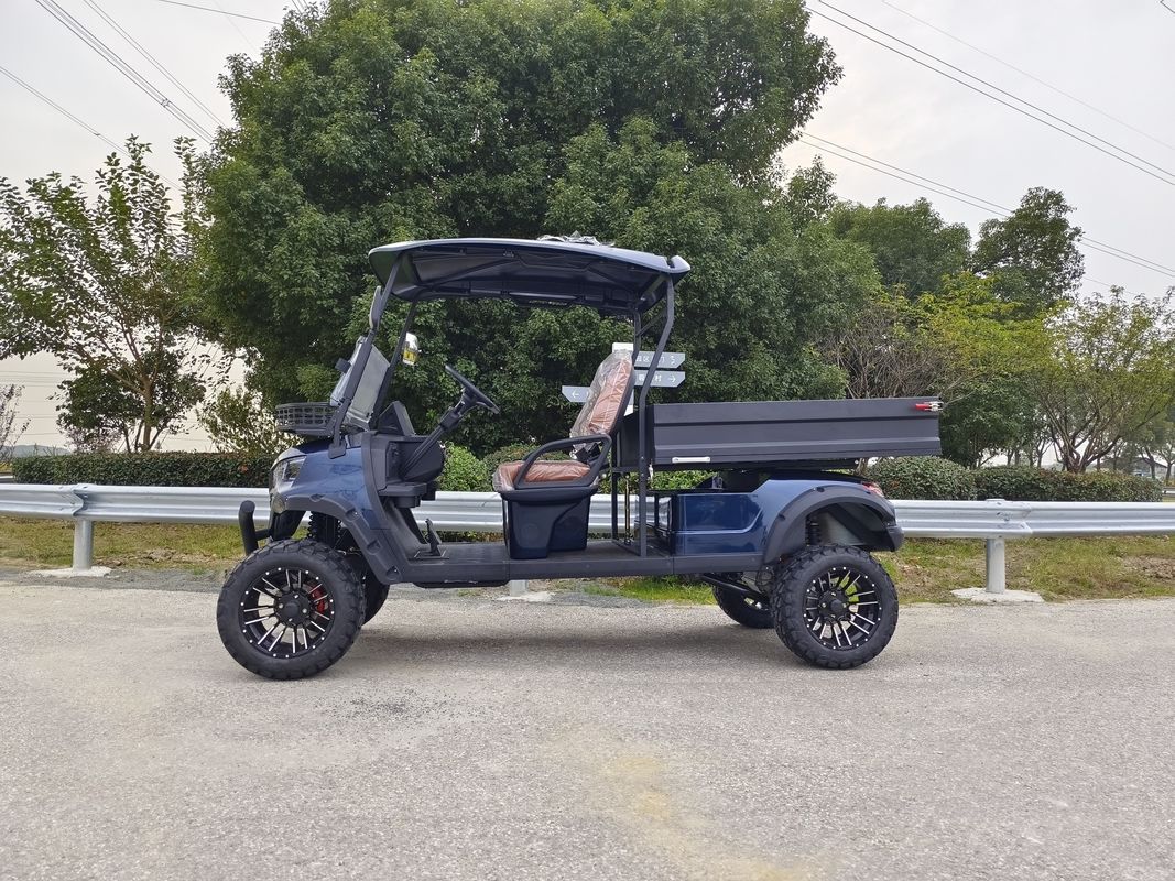 2-Seater Off-Road Cargo Truck With Strong Load-Bearing Capacity Tippable Bucket Customizable Color LOGO OEM ODM