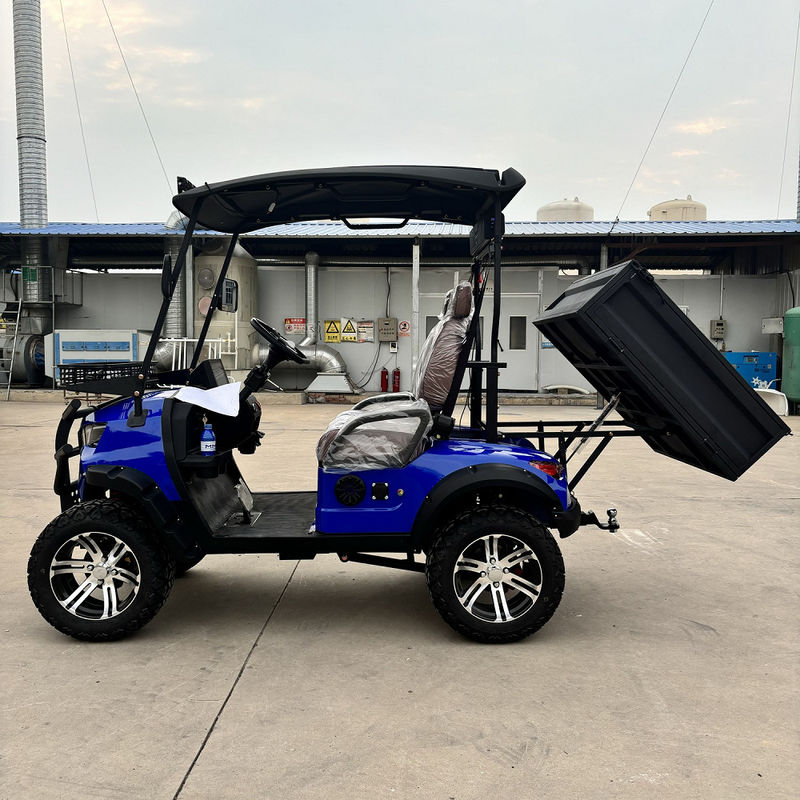 Sapphire Blue Hai chỗ ngồi xe golf điện với thùng có thể nghiêng cao mã lực tùy chỉnh màu sắc và logo
