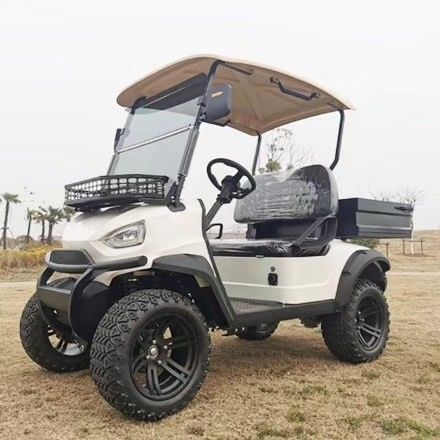 Chiếc xe bán tải golf màu trắng có hai chỗ ngồi có thể được tùy chỉnh với màu sắc và logo và cung cấp chứng nhận CE