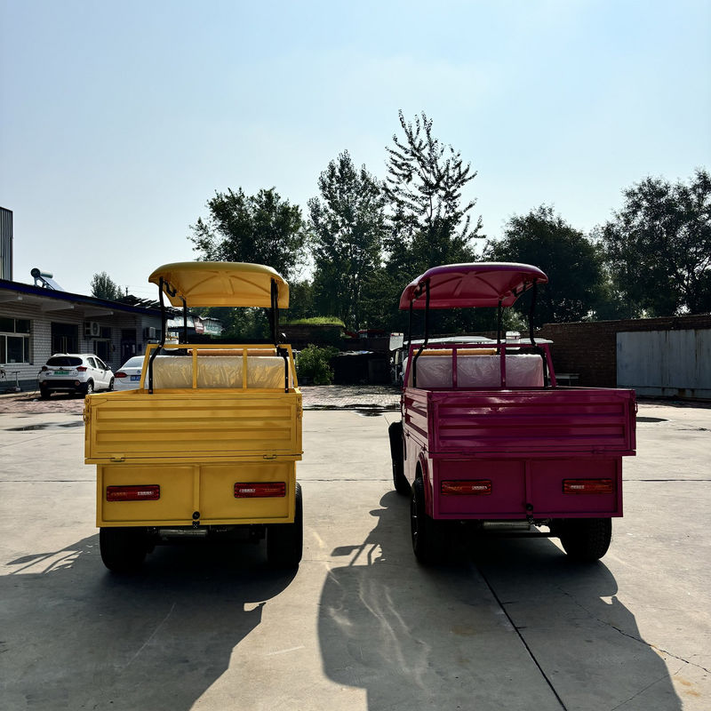 Pointed Two-Seater Electric Cargo Truck Large Capacity Customized Color And LOGO