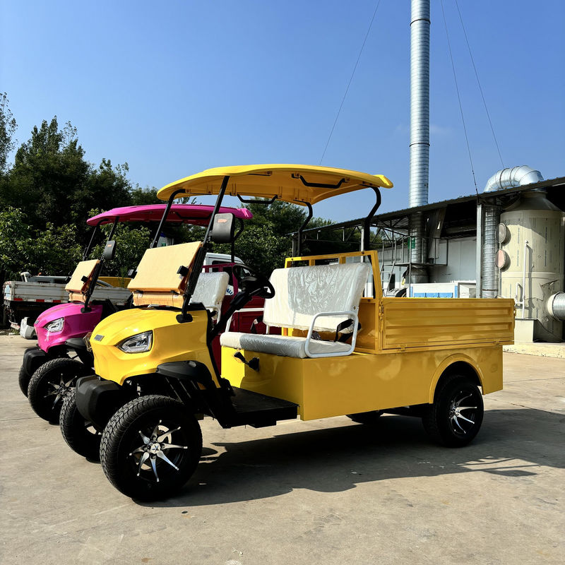 Pointed Two-Seater Electric Cargo Truck Large Capacity Customized Color And LOGO