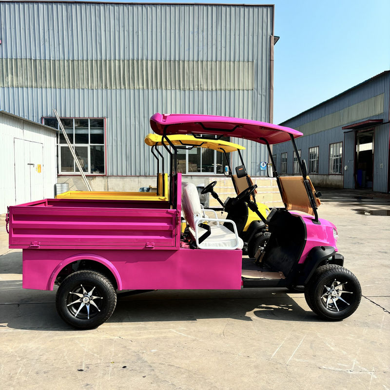 Pointed Two-Seater Electric Cargo Truck Large Capacity Customized Color And LOGO