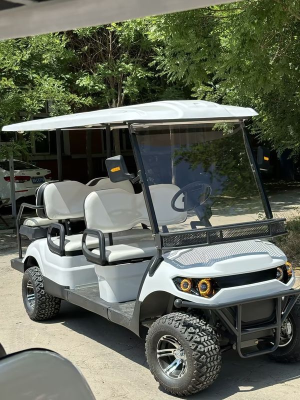 Double-Pupil 6-Seater Lithium Battery Electric Golf Cart With Customizable Color And LOGO