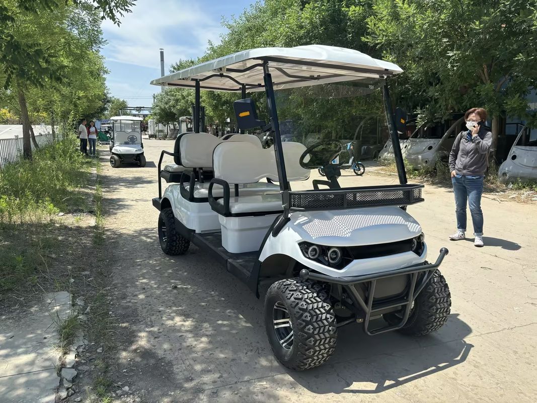Double-Pupil 6-Seater Lithium Battery Electric Golf Cart With Customizable Color And LOGO