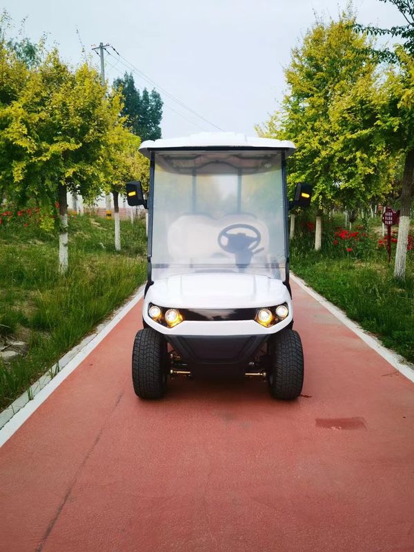 Double-Pupil 6-Seater Lithium Battery Electric Golf Cart With Customizable Color And LOGO