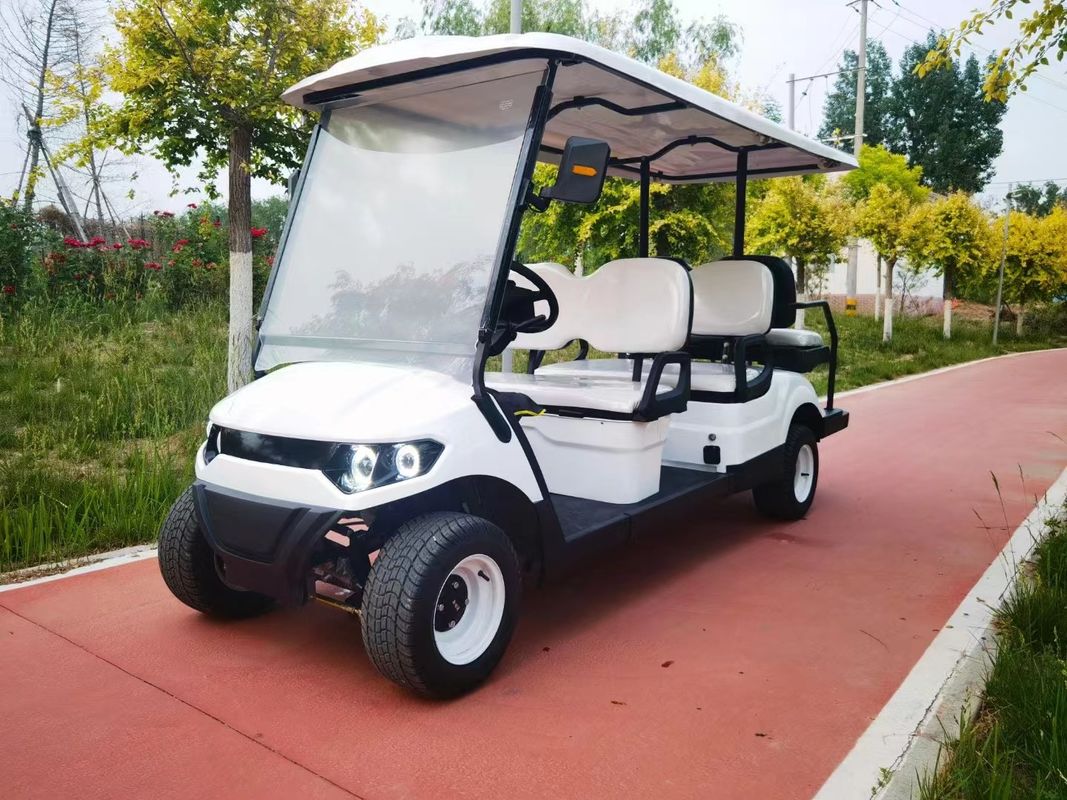 Double-Pupil 6-Seater Lithium Battery Electric Golf Cart With Customizable Color And LOGO