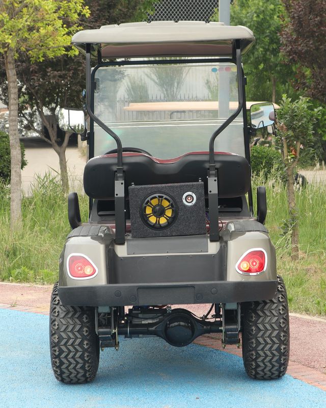Effortlessly Conquer Slopes 4-Seater Golf Cart with Motor and Intelligent Control System