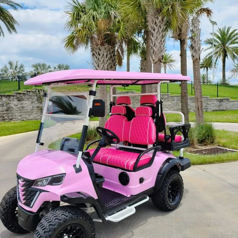 2+2-Seater Luxury Pink Electric Golf Cart With High Horsepower 14-Inch Off-Road Tires Lithium Battery
