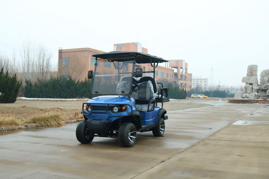 Bleu 2 + 2 sièges Luxe chariot de golf électrique personnalisé couleur et logo avec batterie au lithium pour divers scénarios tels que les lieux pittoresques et le club