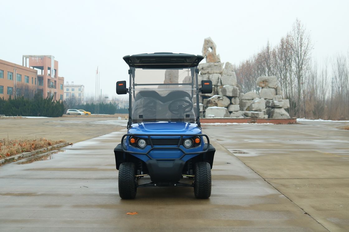 Bleu 2 + 2 sièges Luxe chariot de golf électrique personnalisé couleur et logo avec batterie au lithium pour divers scénarios tels que les lieux pittoresques et le club
