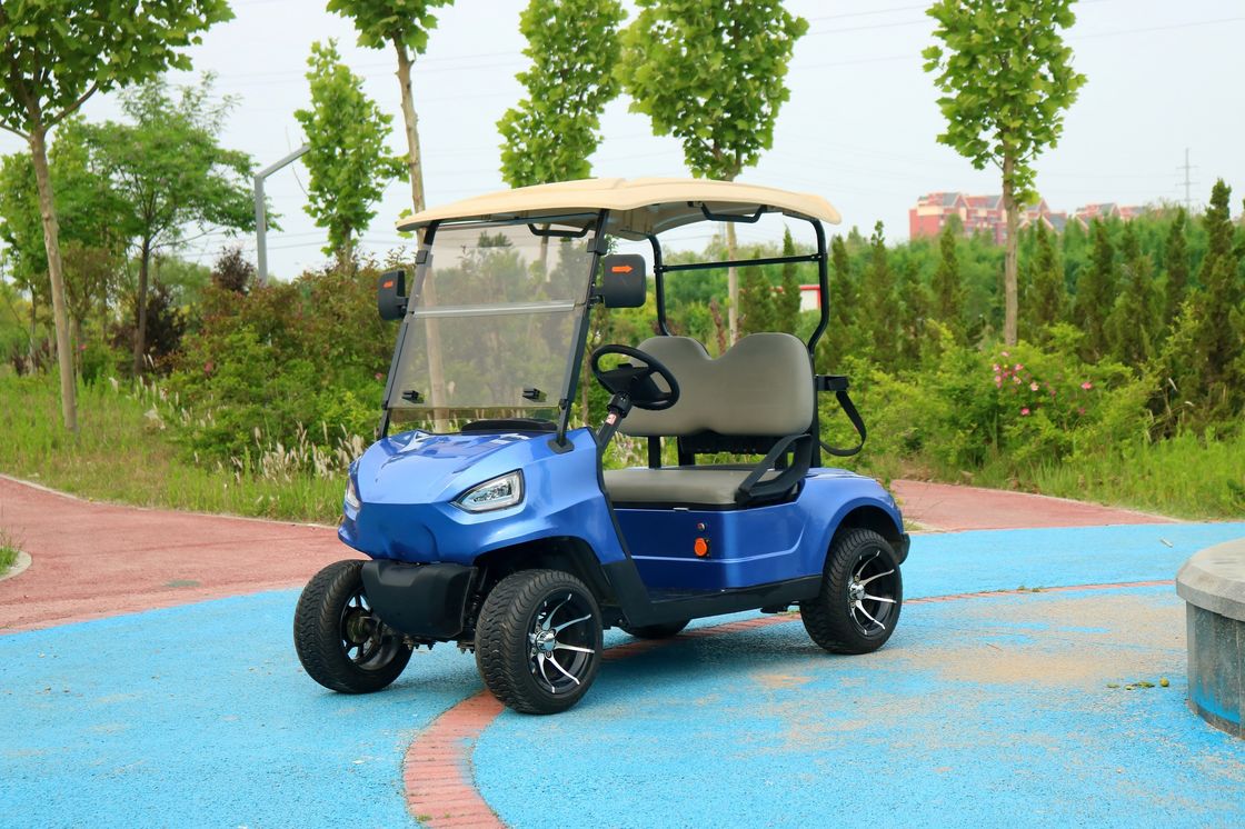 Biru 2 Seater Electric Golf Cart Baterai Asam Timah Baterai Lithium Dukungan Customized Warna Dan LOGO