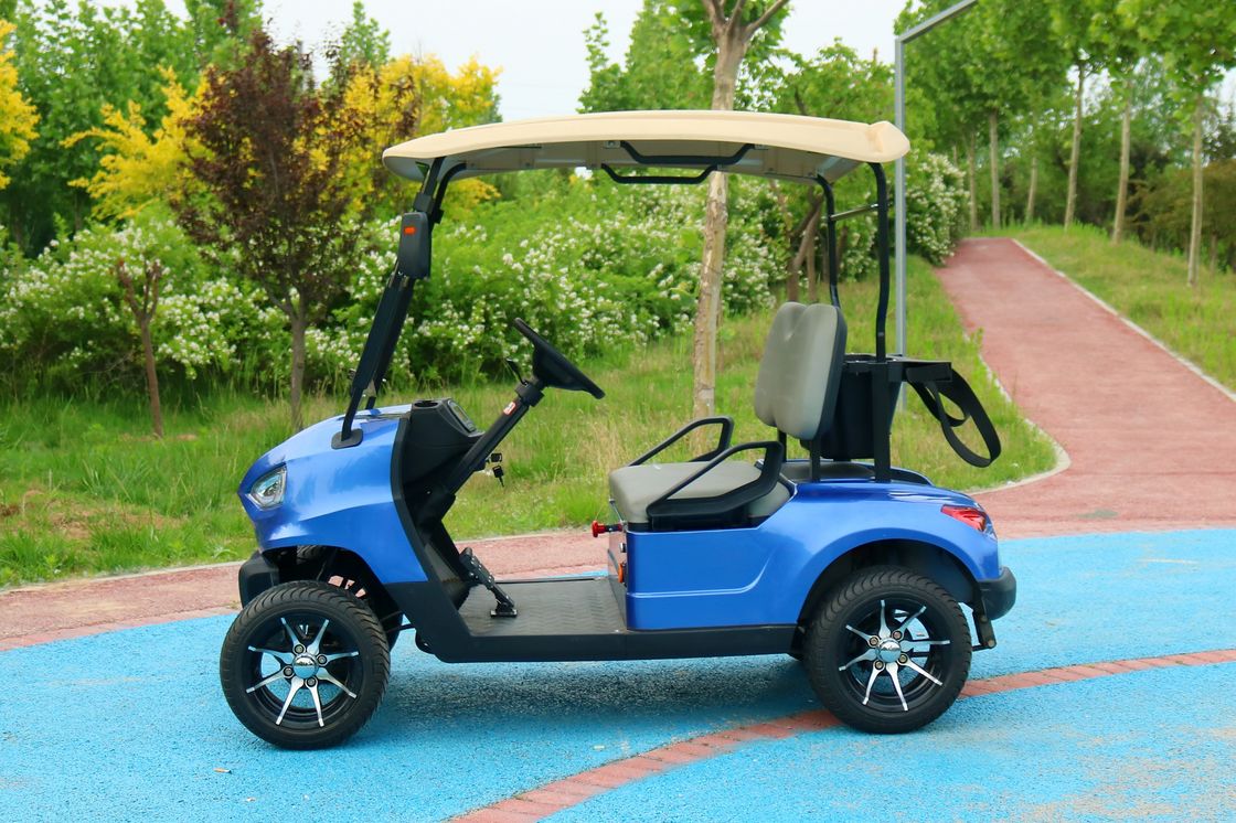 Biru 2 Seater Electric Golf Cart Baterai Asam Timah Baterai Lithium Dukungan Customized Warna Dan LOGO