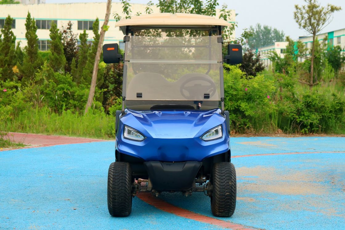 Biru 2 Seater Electric Golf Cart Baterai Asam Timah Baterai Lithium Dukungan Customized Warna Dan LOGO