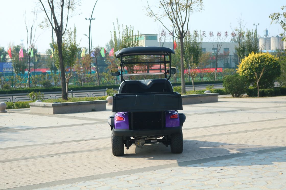 Xanh 2 chỗ New Energy Electric Cargo Golf Cart Classic Với hỗ trợ pin lithium tùy chỉnh