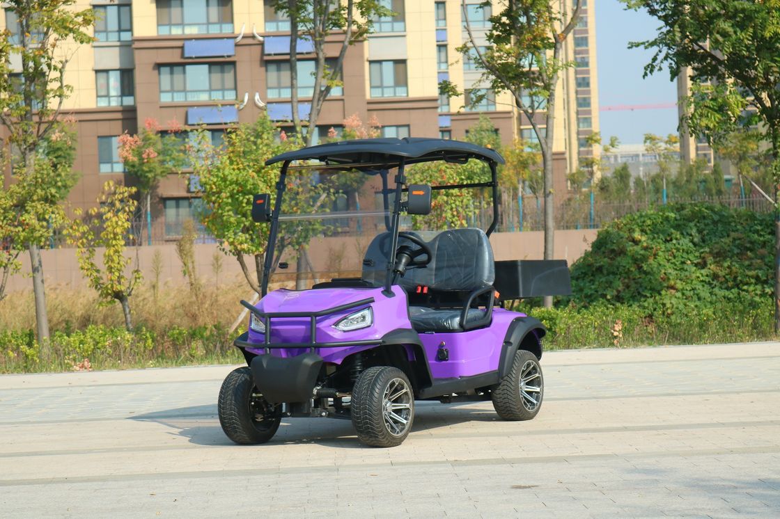 Xanh 2 chỗ New Energy Electric Cargo Golf Cart Classic Với hỗ trợ pin lithium tùy chỉnh