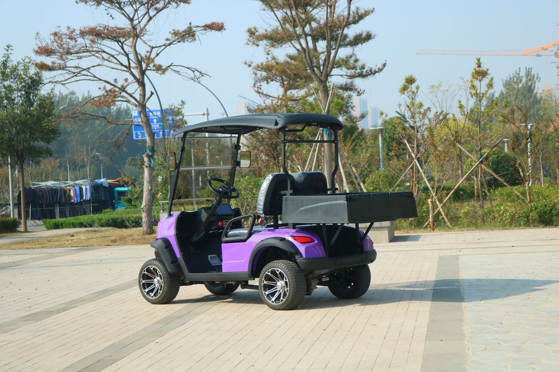 Xanh 2 chỗ New Energy Electric Cargo Golf Cart Classic Với hỗ trợ pin lithium tùy chỉnh