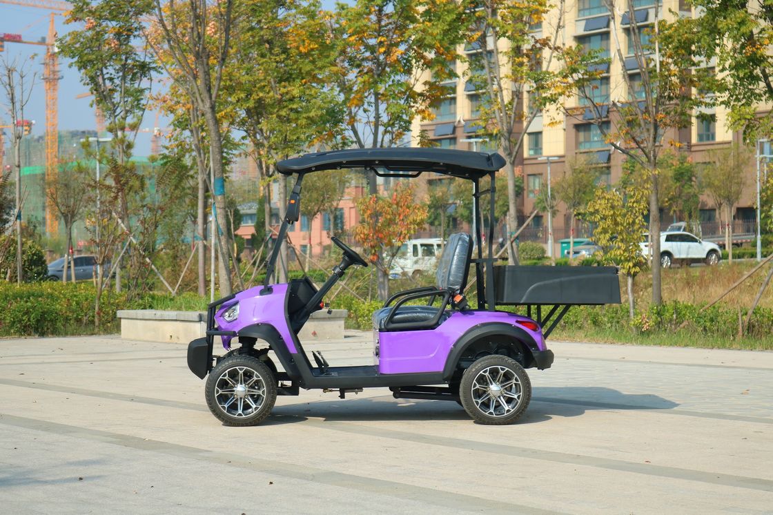Xanh 2 chỗ New Energy Electric Cargo Golf Cart Classic Với hỗ trợ pin lithium tùy chỉnh