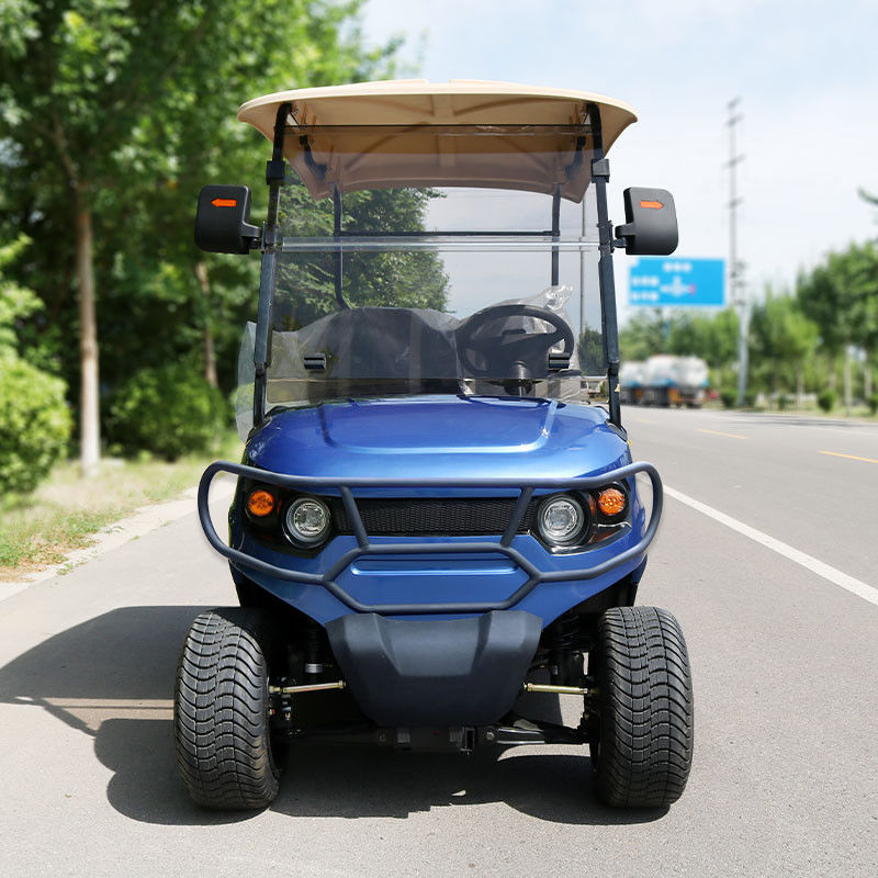 Luksusowy niebieski 2-osobowy elektryczny wózek golfowy Ołowiano-kwaśna bateria Litowa bateria wsparcie dostosowany kolor i logo