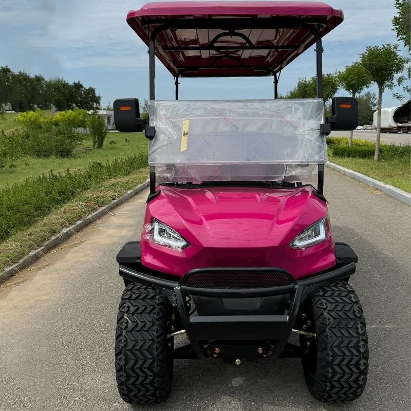 Carrinho de golfe elétrico de luxo rosa off-road de seis lugares com cor e logotipo personalizáveis disponível OEM e ODM