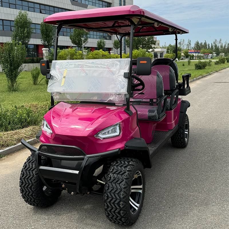 Carrinho de golfe elétrico de luxo rosa off-road de seis lugares com cor e logotipo personalizáveis disponível OEM e ODM