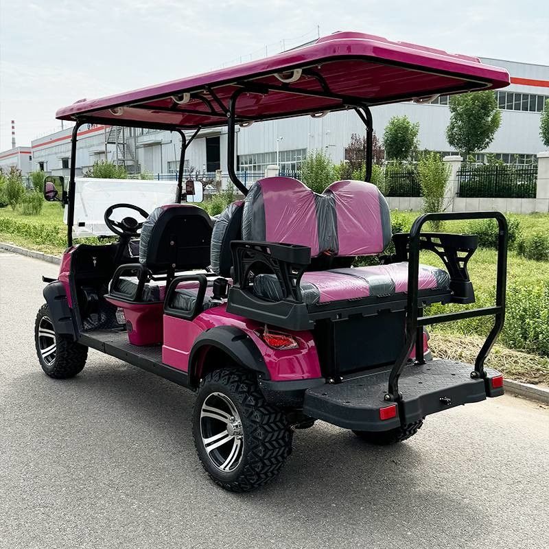 Carrinho de golfe elétrico de luxo rosa off-road de seis lugares com cor e logotipo personalizáveis disponível OEM e ODM