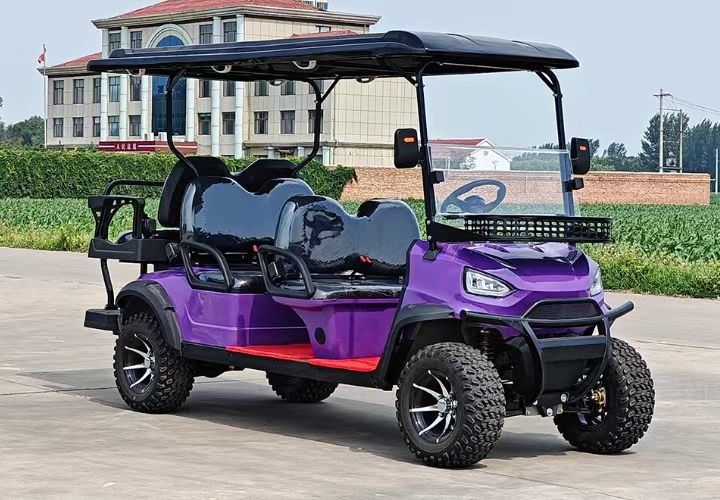 Electric Golf Cart with Solar Panel and Advanced Technology Controller 60V Controller Imbor