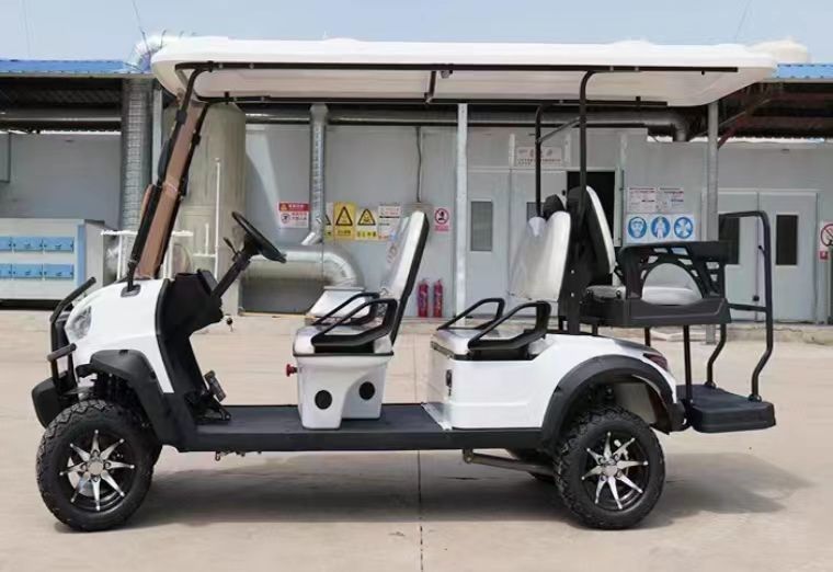 Electric Golf Cart with Solar Panel and Advanced Technology Controller 60V Controller Imbor
