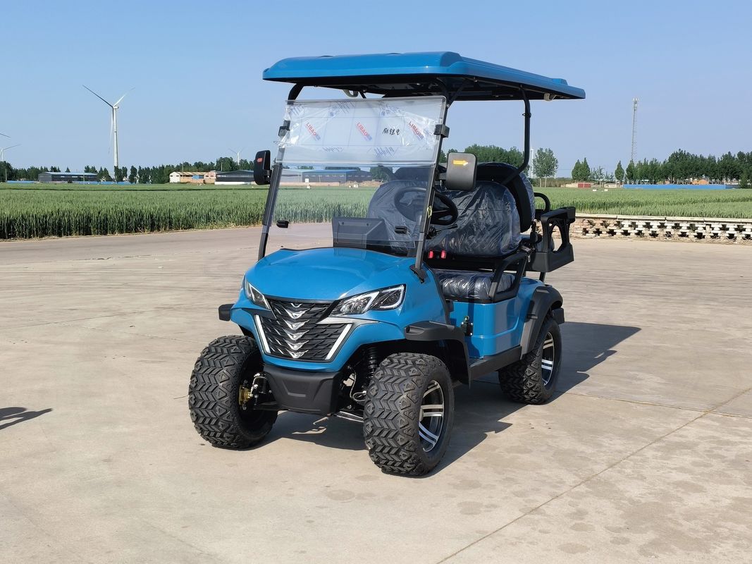 2+2 Yüksek Kaliteli Lüks Mavi Elektrikli Golf Arabası Özel Renk ve LOGO ile Lityum Pil