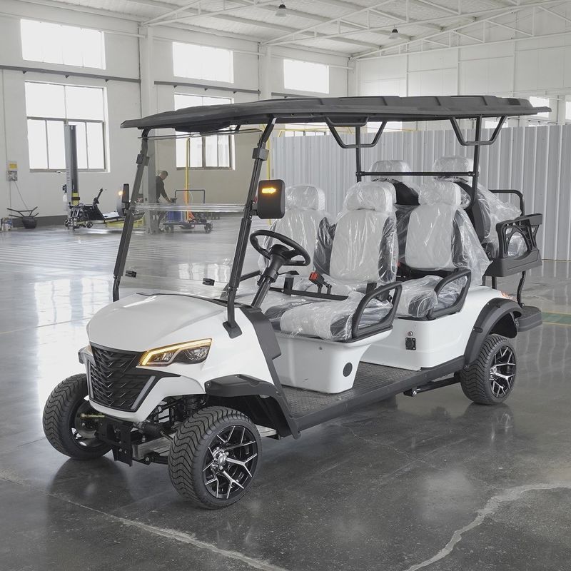 Customizable Logo 6 Seater Golf Cart with 120mm Ground Clearance and Maximum Travel Speed up to 30km/h