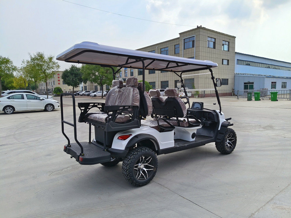 Steel Frame Electric Golf Cart with Solar Panel and 225/40-14 Vacuum Radial Tyre Wheels Perfect