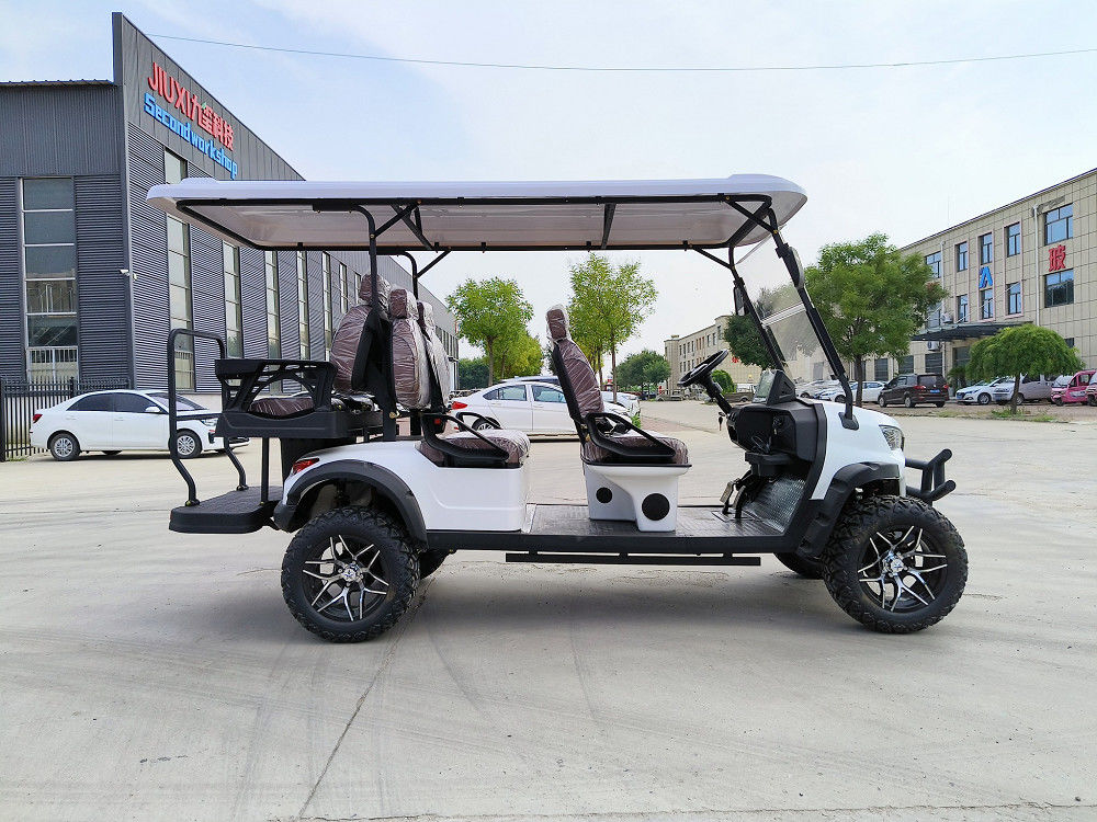 Steel Frame Electric Golf Cart with Solar Panel and 225/40-14 Vacuum Radial Tyre Wheels Perfect