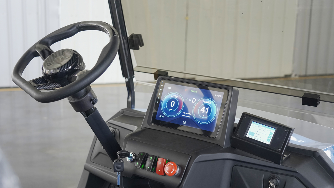 Customized Colors 2 Seater Golf Cart with LCD Instrument and Scorecard Holder