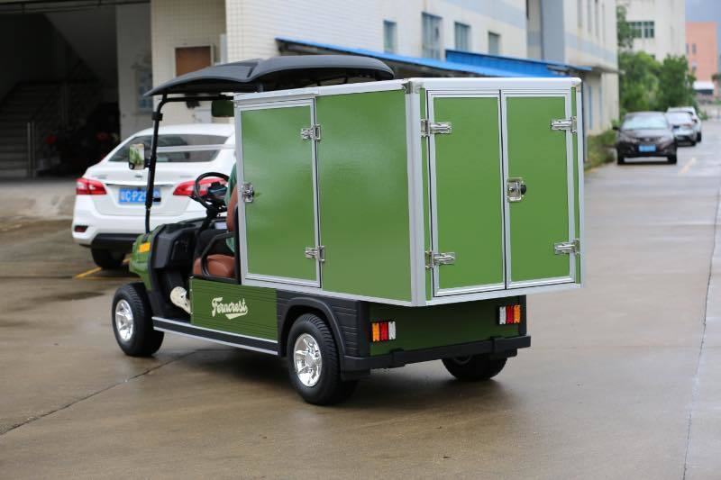 Green Color Large Capacity 2 Seater Custom Golf Cargo Can Transport Goods And Food