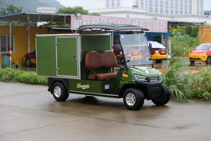 Green Color Large Capacity 2 Seater Custom Golf Cargo Can Transport Goods And Food