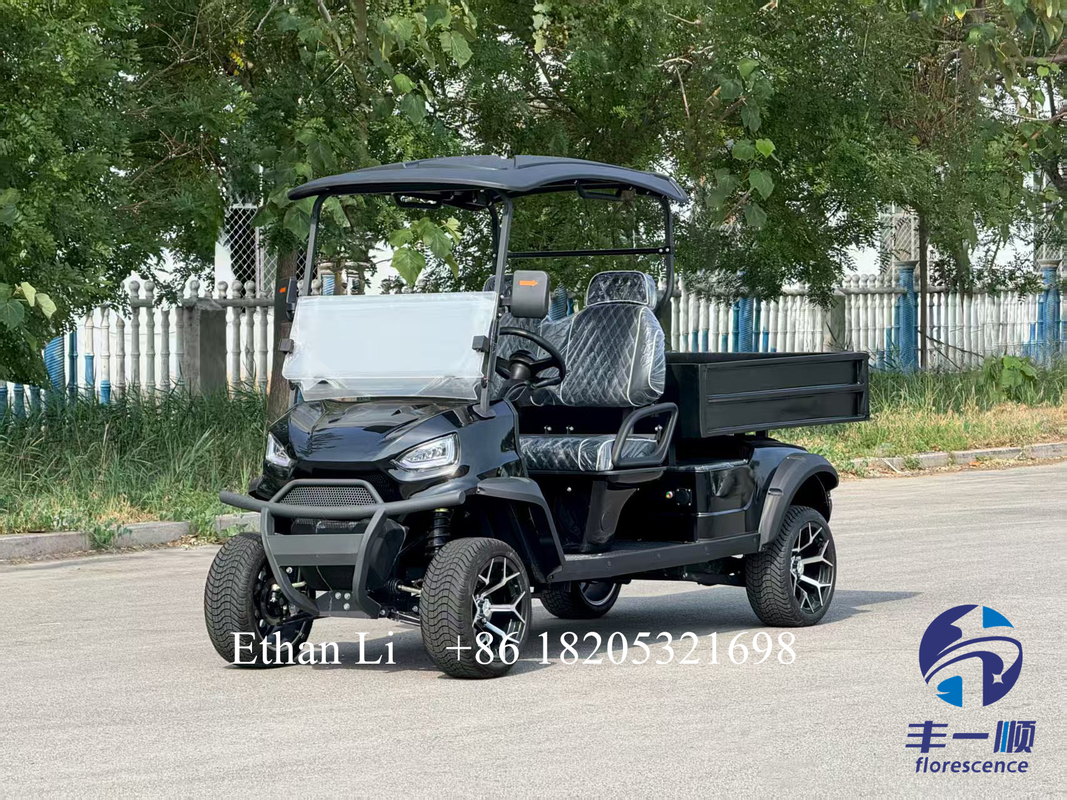 Electric Golf Cart Canopy Roof and Electric Power Source for Optimal Performance