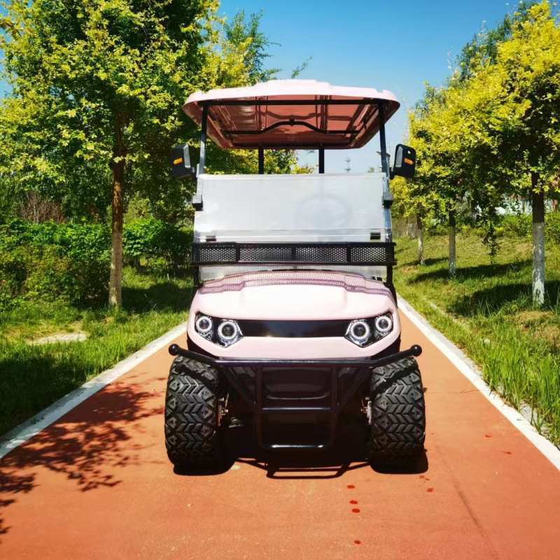 Golf Course 4 Seater Golf Cart with Canopy Roof 150kg Cargo Capacity and 80-120km Driving Range