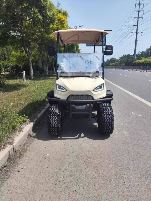 Lightweight Golf Trolley with ABS and Rack And Pinion Steering Type for Effortless Golfing Performance