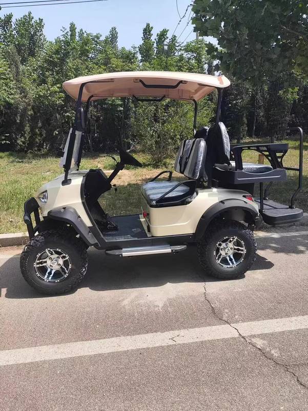 Lightweight Golf Trolley with ABS and Rack And Pinion Steering Type for Effortless Golfing Performance