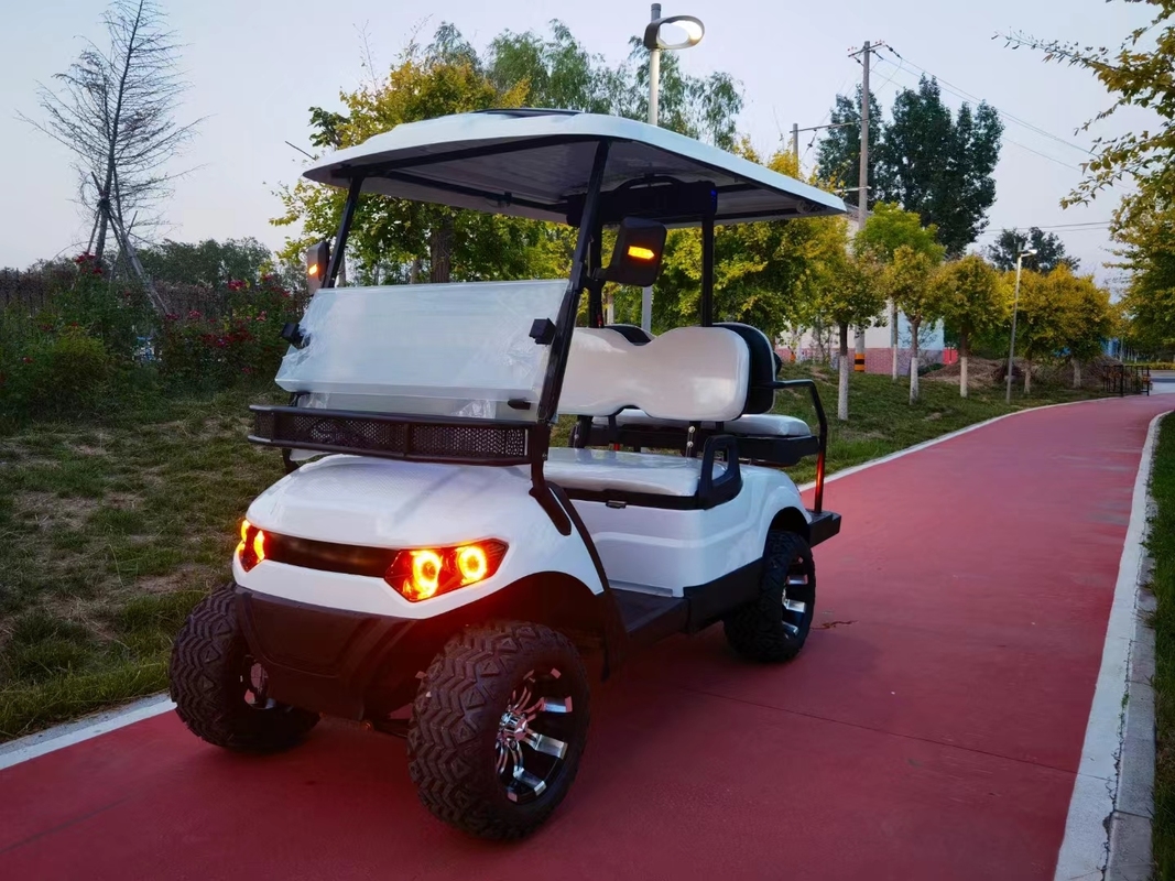 ABS Material 4 Seater Golf Cart with Seating Capacity of 4 People and Optional Rain Curtains