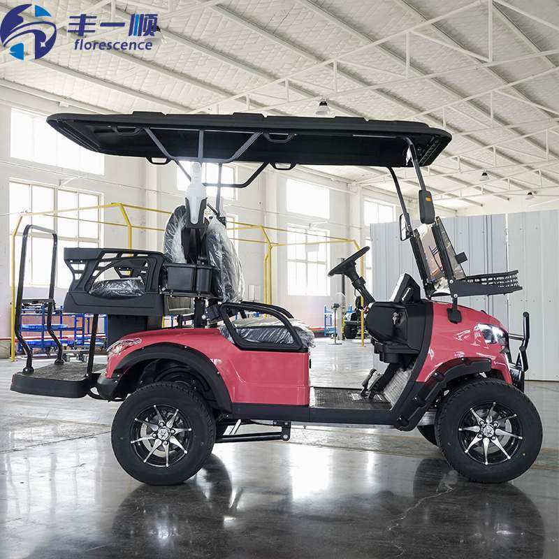 High Power Electric Golf Cart 2+2 4seats 48V Battery 5KW Motor for Golf Course and Resort
