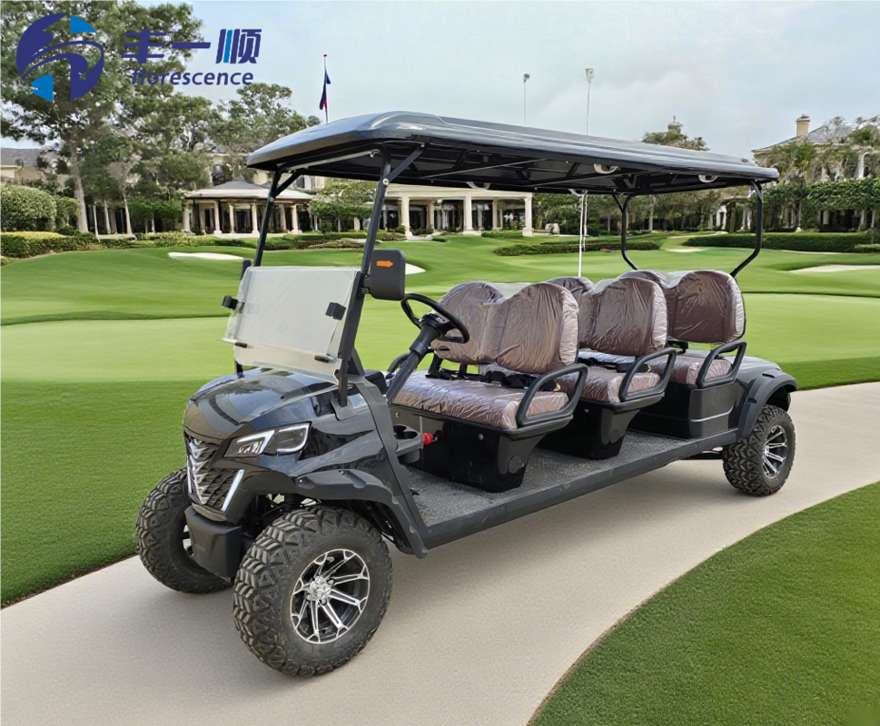 High Quality 6 Seater Golf Carts Electric Buggy Black Color Lithium Battery