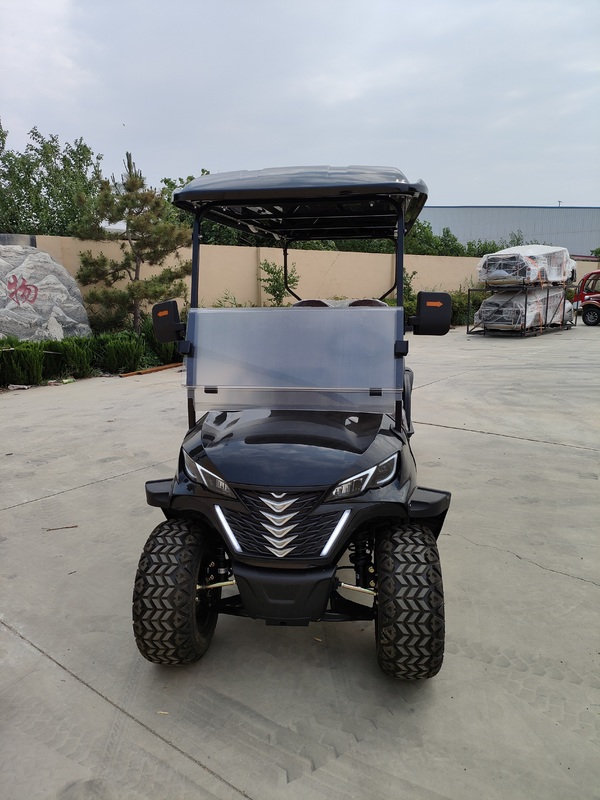 High Quality 6 Seater Golf Carts Electric Buggy Black Color Lithium Battery